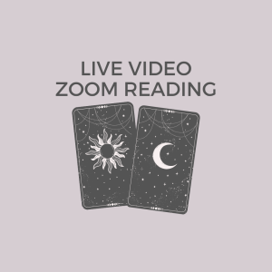 Live Zoom Reading (30 Minutes)
